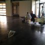 The_Jungle_at_Comerica_Park_Detroit_Seamless_epoxy (8)